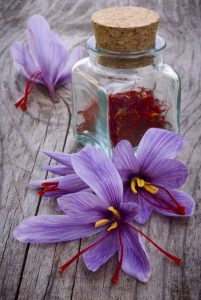 Crocus sativus- گل زعفران
